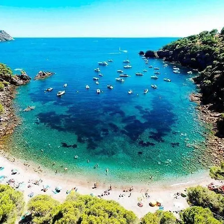 酒店 H Bella Mar 2*